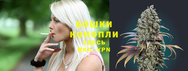spice Абаза
