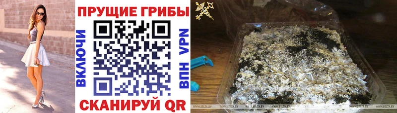 KRAKEN ссылка  Мамадыш  Галлюциногенные грибы Magic Shrooms 
